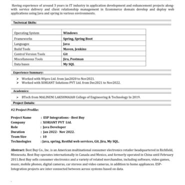 9578- Java developer