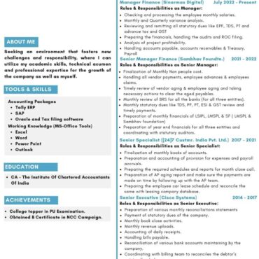 7915 -Senior Accountant