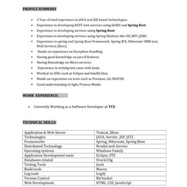 9534- Software Engineer