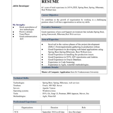 9533- Java Developer