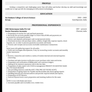 9531 -Senior Accountant