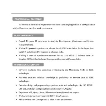 9525 - Software Engineer