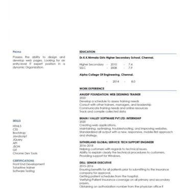 9520- Web developer