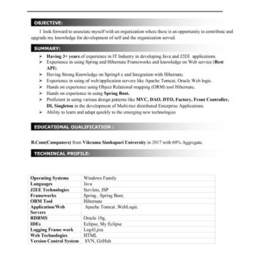 9516- Software  Engineer