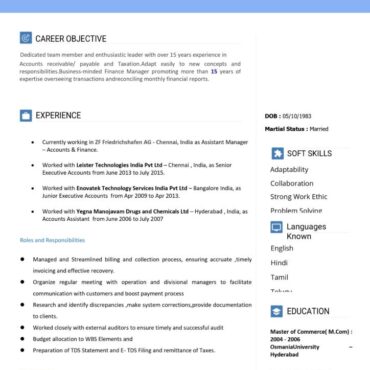 6127-Senior Accountant