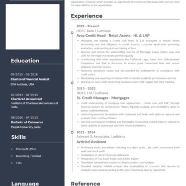 6116-Chartered Accountant Experienced