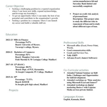 7300 - Senior Accountant