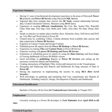 7461 - Power BI Developer