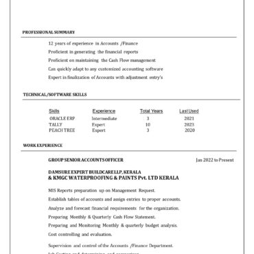 6617- Senior Accountant