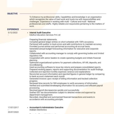 6946- Senior Accountant