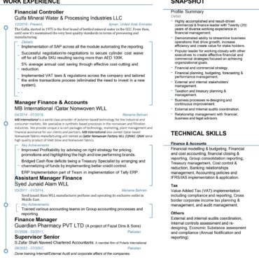6615- Senior Accountant