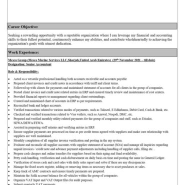 6497 - Senior Accountant
