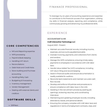6491 - Senior Accountant