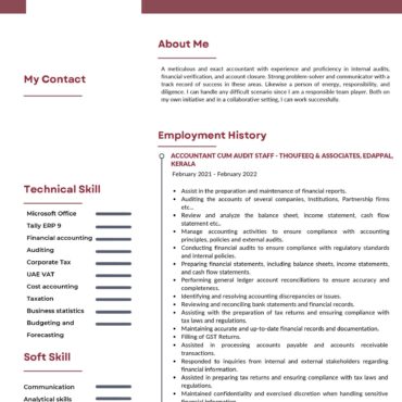 6690-Junior Accountant