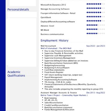 6446- Senior Accountant