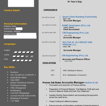 6445- Senior Accountant