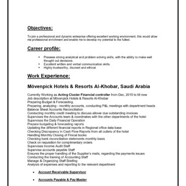 6391- Senior Accountant