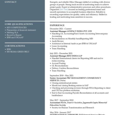 6306 - Chartered Accountant Experienced