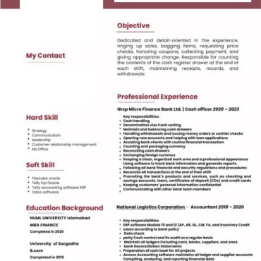 6479 - Senior Accountant