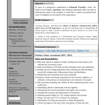 6917 - Senior Accountant