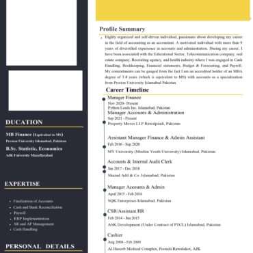 6819- Senior Accountant