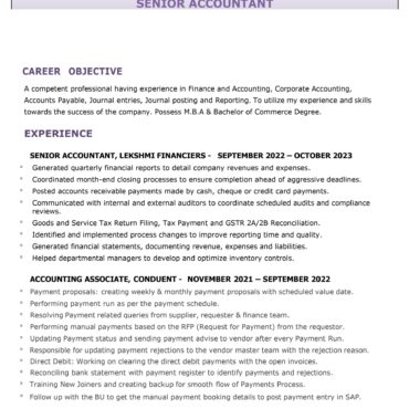 6535- Senior Accountant
