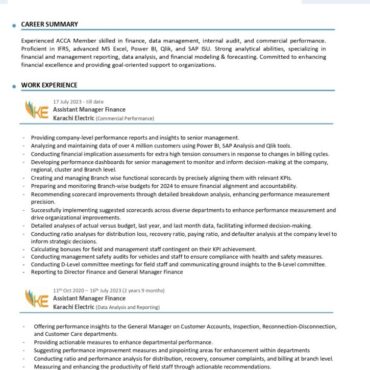 6565 - Chartered Accountant Experienced