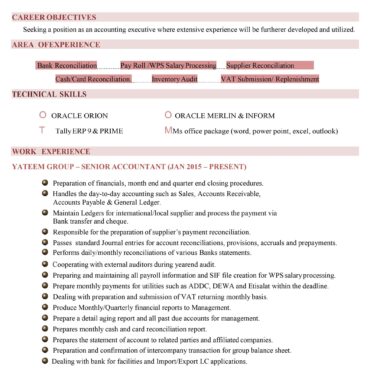 6632- Senior Accountant