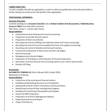 6628- Senior Accountant