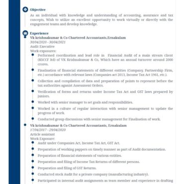 8167 - Chartered Accountant Experienced