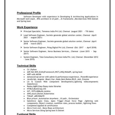 8105 - Software Developer