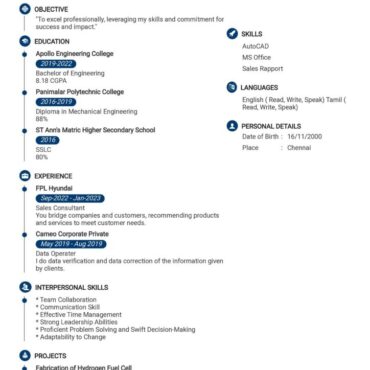 8017 - Territory Sales Officer