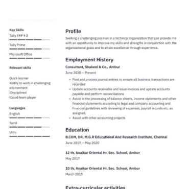 8181 - Senior Accountant