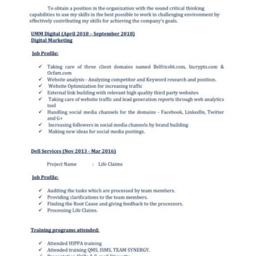 7262 - Digital Marketing Executive