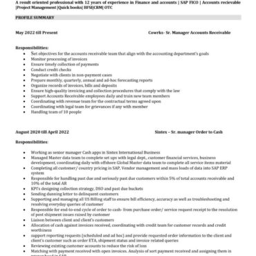 8028 - Senior Accountant