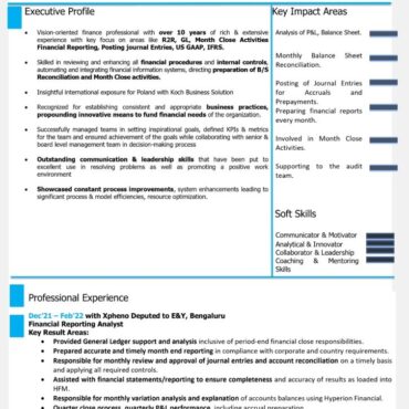 8037 - Senior Accountant