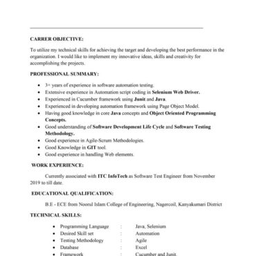 8163 - Software Test Engineer