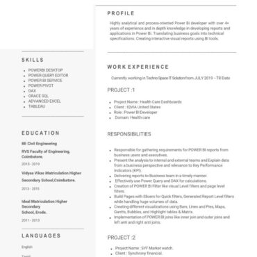 8484-Power BI Developer