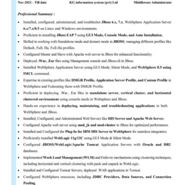 9253-Software Engineer