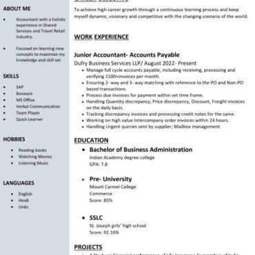 8271 - Junior Accountant