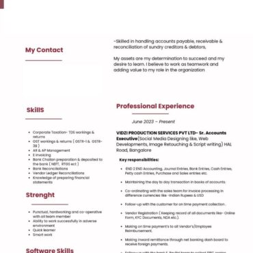 8273 - Junior Accountant