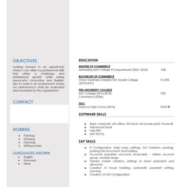 8290 - Senior Accountant