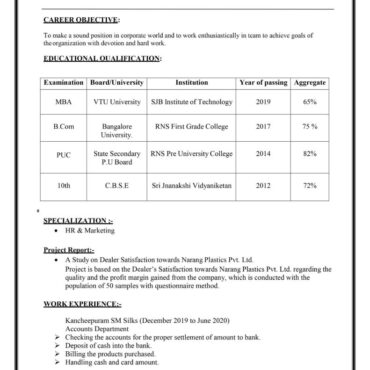 8293 - Senior Accountant