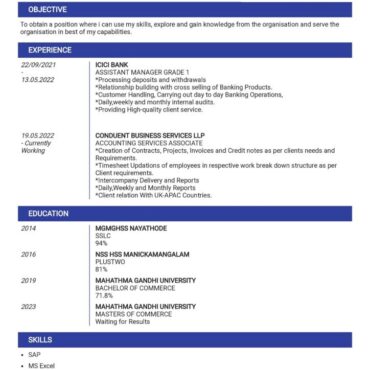 8299 - Senior Accountant