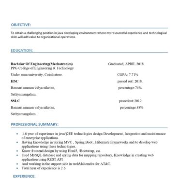 8186 - Java Developer