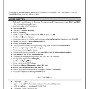 8188 - Software Engineer
