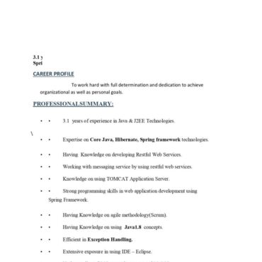 8189 - Software Engineer