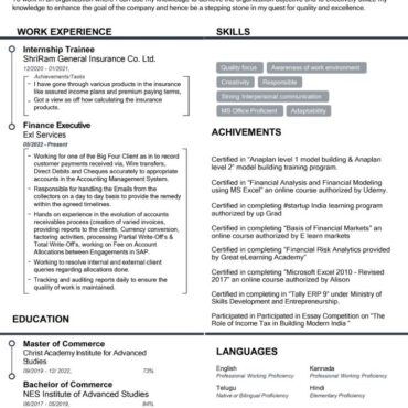 8225- Senior Accountant