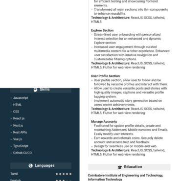 8294 - Web developer