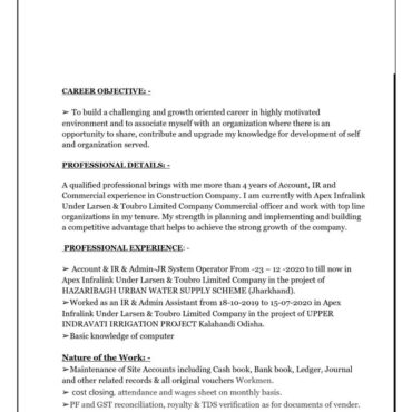 8313 - Junior Accountant